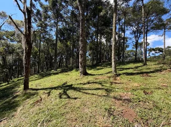 Maravilhoso terreno perto do centro de Urubici