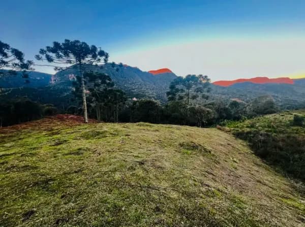 Grande terreno de 5 hectares