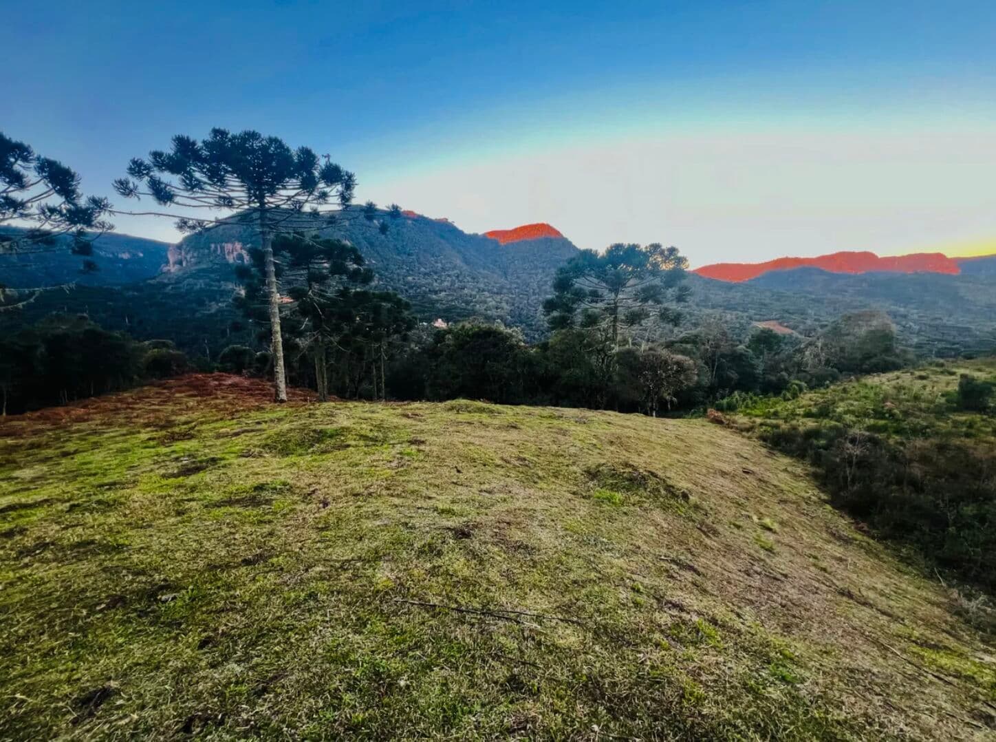 Grande terreno de 5 hectares