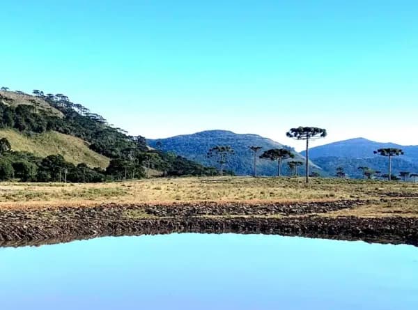 Terreno com incidência de neve e açudes