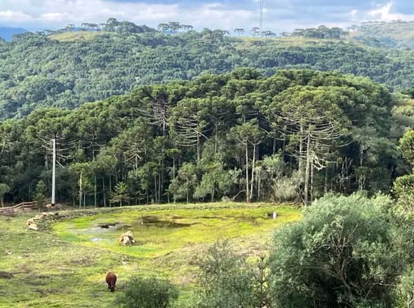 Terreno com linda vista e açude
