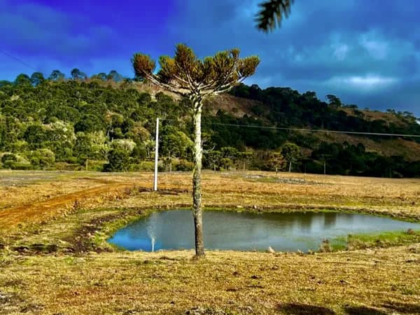 Terreno com muita área Plana