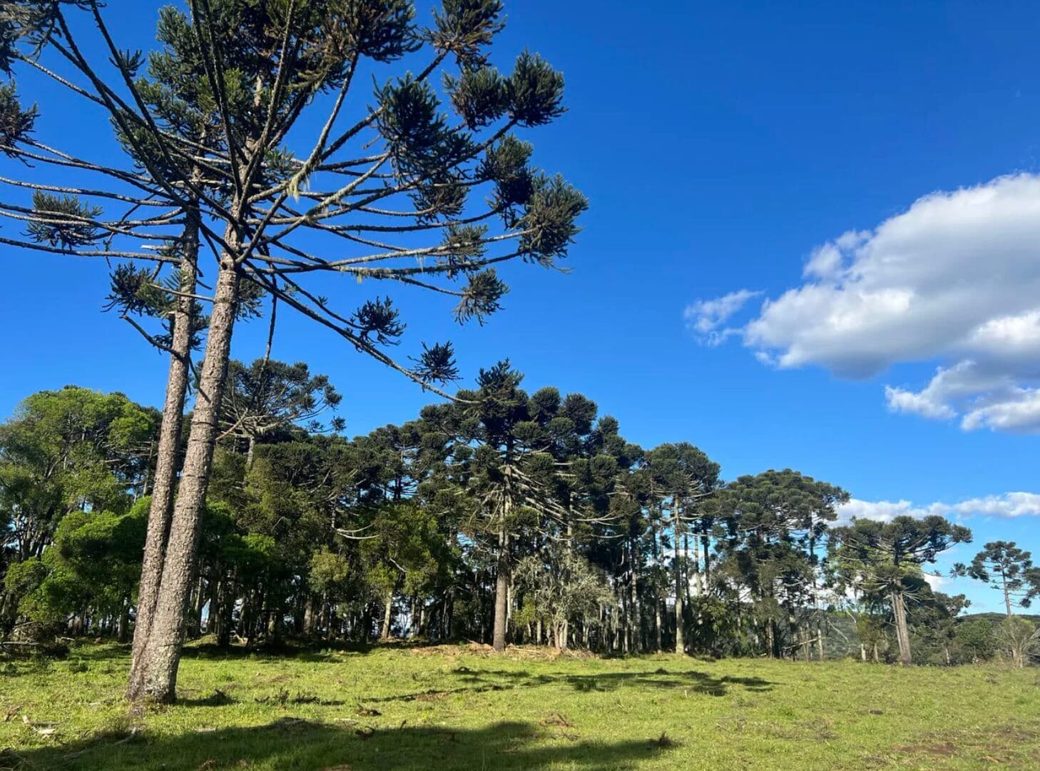 Grande terreno com cachoeira, açude e riacho