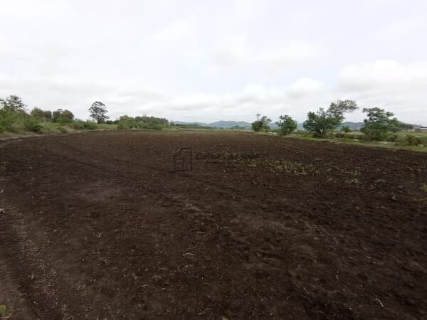 VENDO TERRENO RURAL - CENTRO DO MUNICÍPIO DE JAGUARUNA-SC!