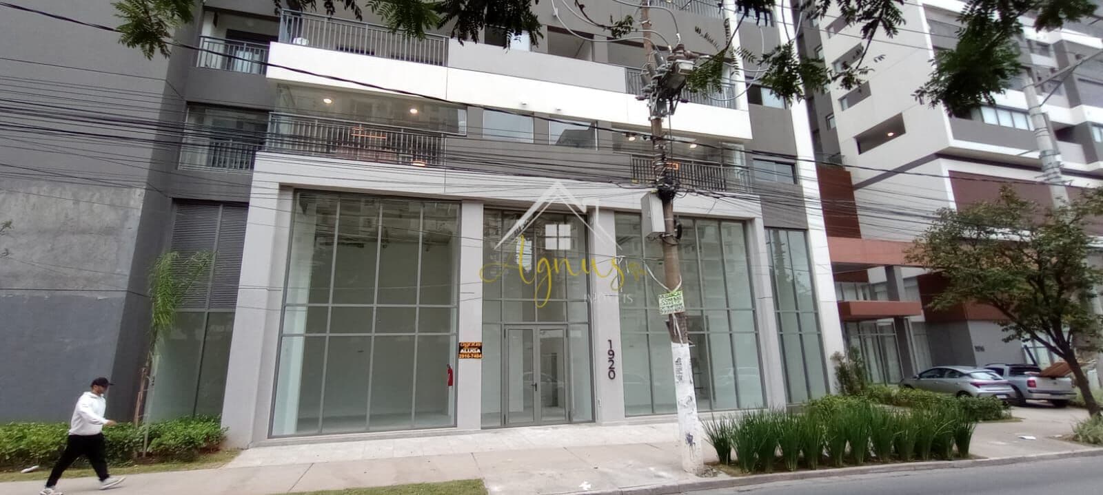 Galpão/Depósito/Armazém em São Paulo - Vila Ema