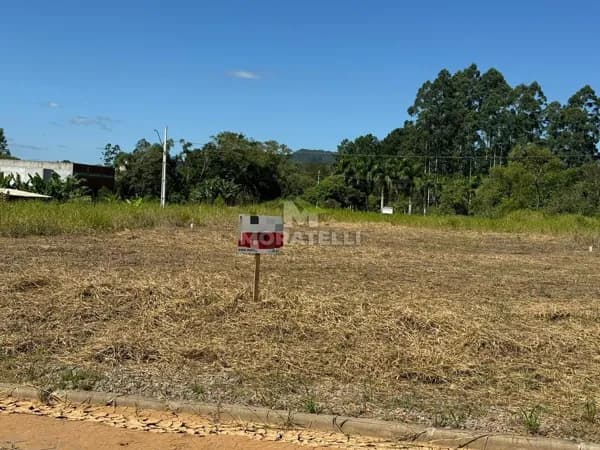Lote/Terreno em Lontras - Centro