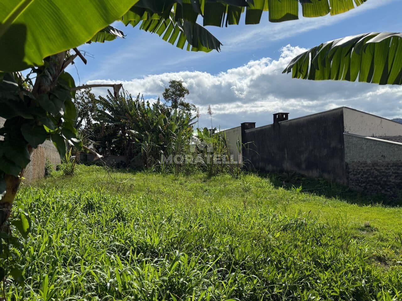 Lote/Terreno em Rio do Sul - Santana