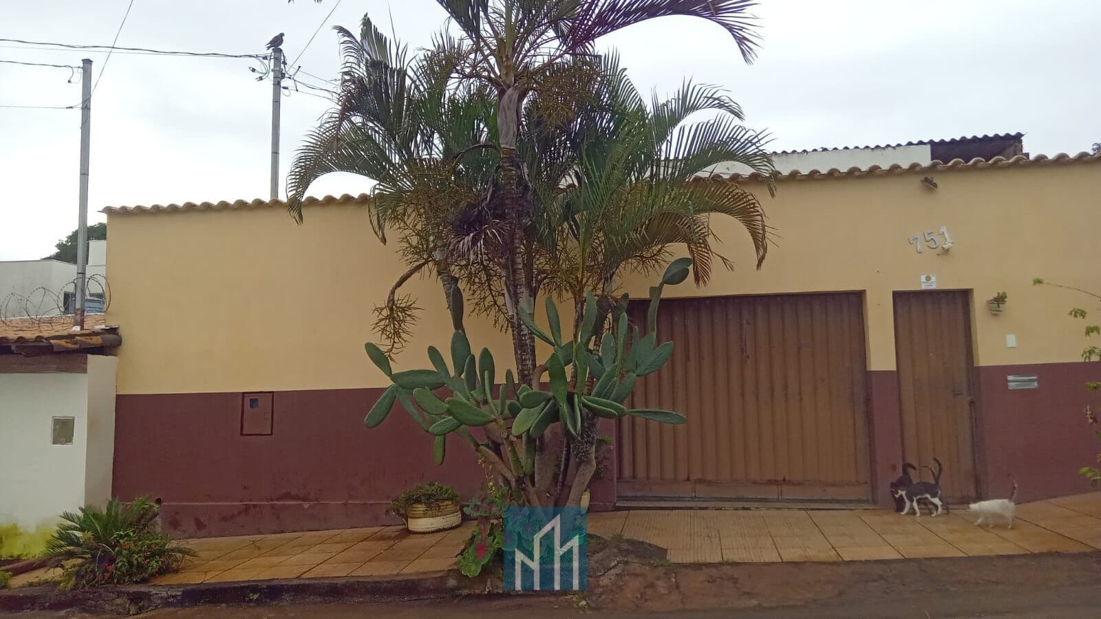 CASA BAIRRO DAS OLIVEIRAS 390M2