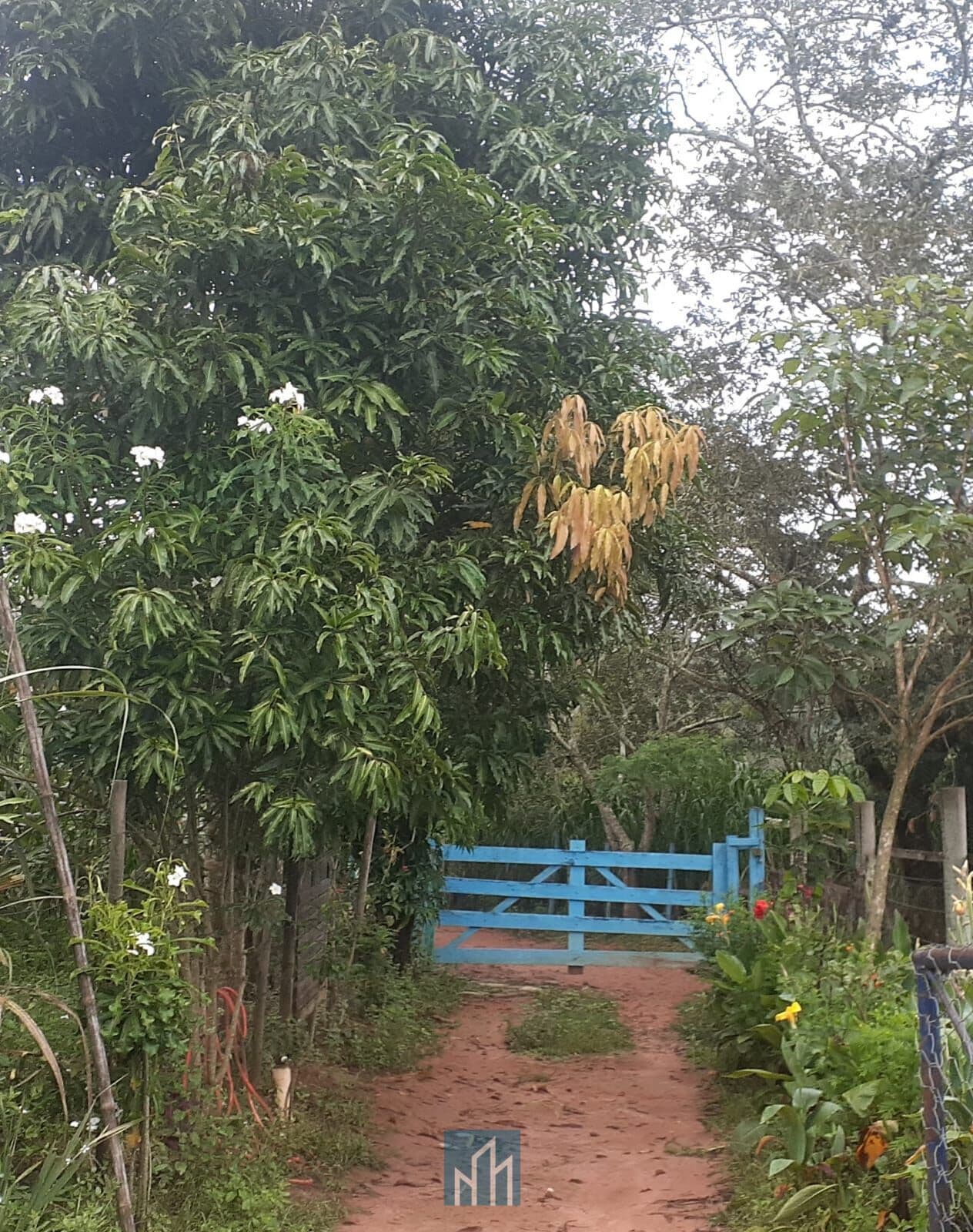 SÍTIO DE 7 HECTARES NO MUNICÍPIO DE SÃO SEBASTIÃO DO OESTE