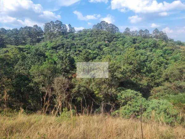 Terreno para construção de casa de alto luxo a venda, 892,67 m2 com declive alto para os fundos para a floresta nativa privada e preservada, condomínio Árvores, Alphaville, lagoa dos Ingleses, Nova Lima. MG.