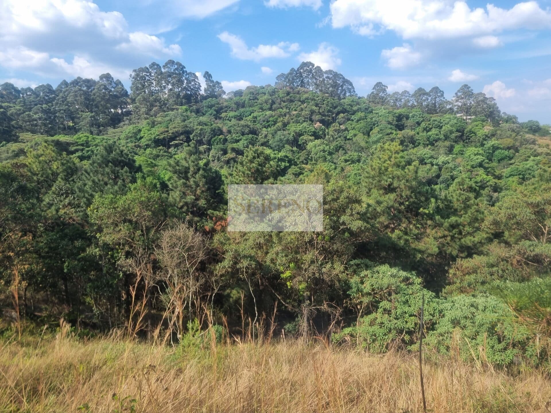 Terreno para construção de casa de alto luxo a venda, 892,67 m2 com declive alto para os fundos para a floresta nativa privada e preservada, condomínio Árvores, Alphaville, lagoa dos Ingleses, Nova Lima. MG.