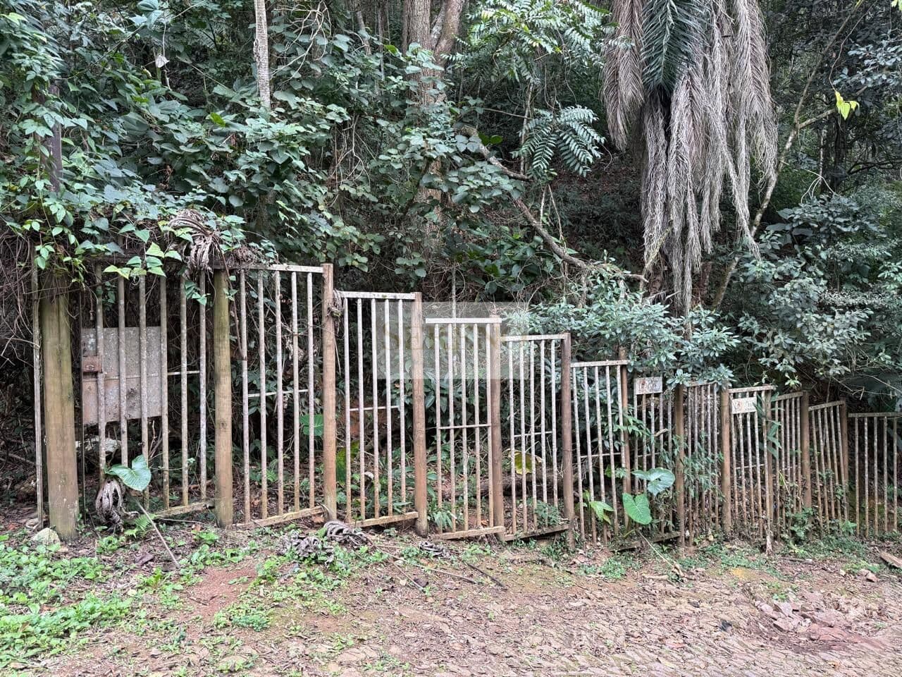 Terreno 1062 m2 a venda, possui 02 platôs nivelados na cota superior para as construções, árvores e mata atlântica, as ruas principais são pavimentadas e os acessos são ruas de calçamento, São Sebastião das Águas Claras (Macacos), Nova Lima, MG, - Brasil