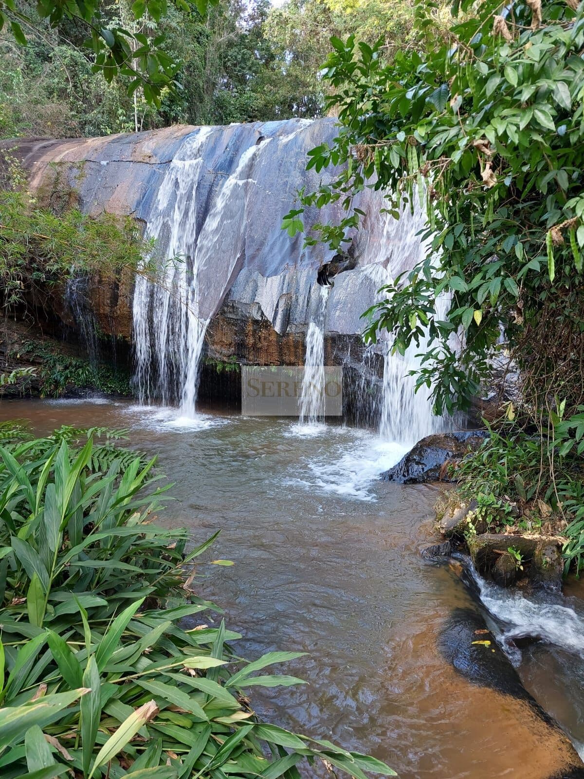 Fazenda 49 hectares, passam 02 águas, possui uma cachoeira a 100 m da casa no córrego do Lopes, há 14 km de Naque, localizado a 12 km estrada de terra de Ipatinga, Naque, distrito de Açucena, MG - Brasil.