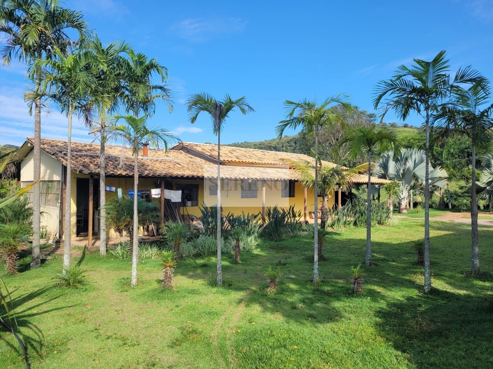 Fazenda 49 hectares a venda “porteira fechada”, possui pastagens, dezenas de vacas, bois e bezerros, animais como porcos e galinhas, plantação de milho, cachoeira com cascata caída d’água de 50 metros de altura, curso de água de córrego, zona rural perto