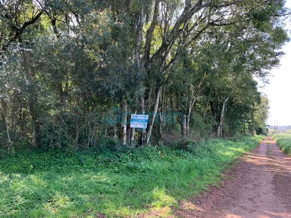 ARÉA COM VEGETAÇÃO NATIVA - 7.650m2