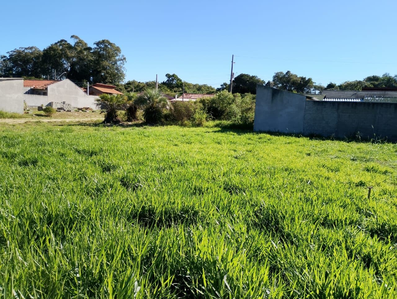 Terreno Lote em Mato Alto, Laguna/SC
