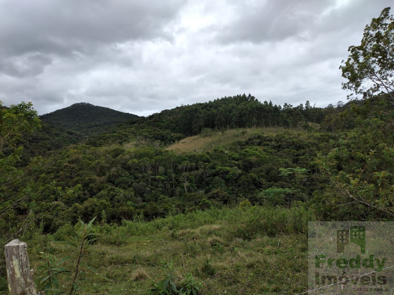 Fazenda/Sítios/Chácaras em Imaruí - São Tomas