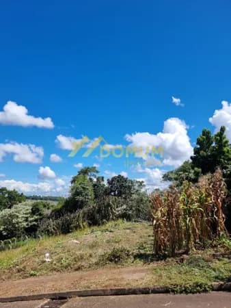 Lote/Terreno em Chapecó - Desbravador