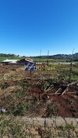 Terreno no loteamento Dom Leonardo