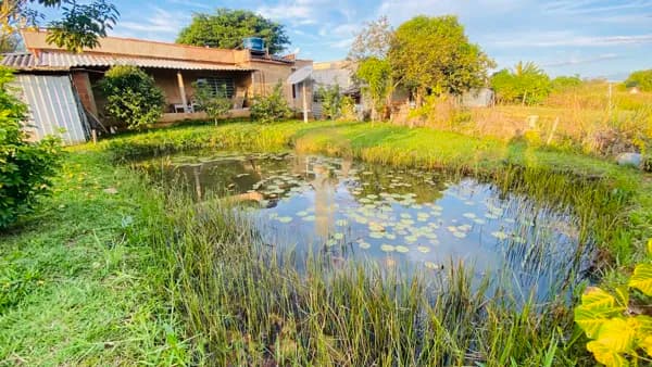 Fazenda/Sítios/Chácaras em Passos - Área Rural de Passos