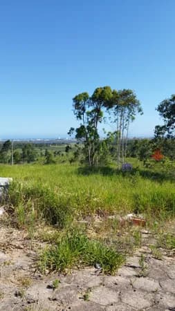 O lote mais incrível do Rincão está aqui