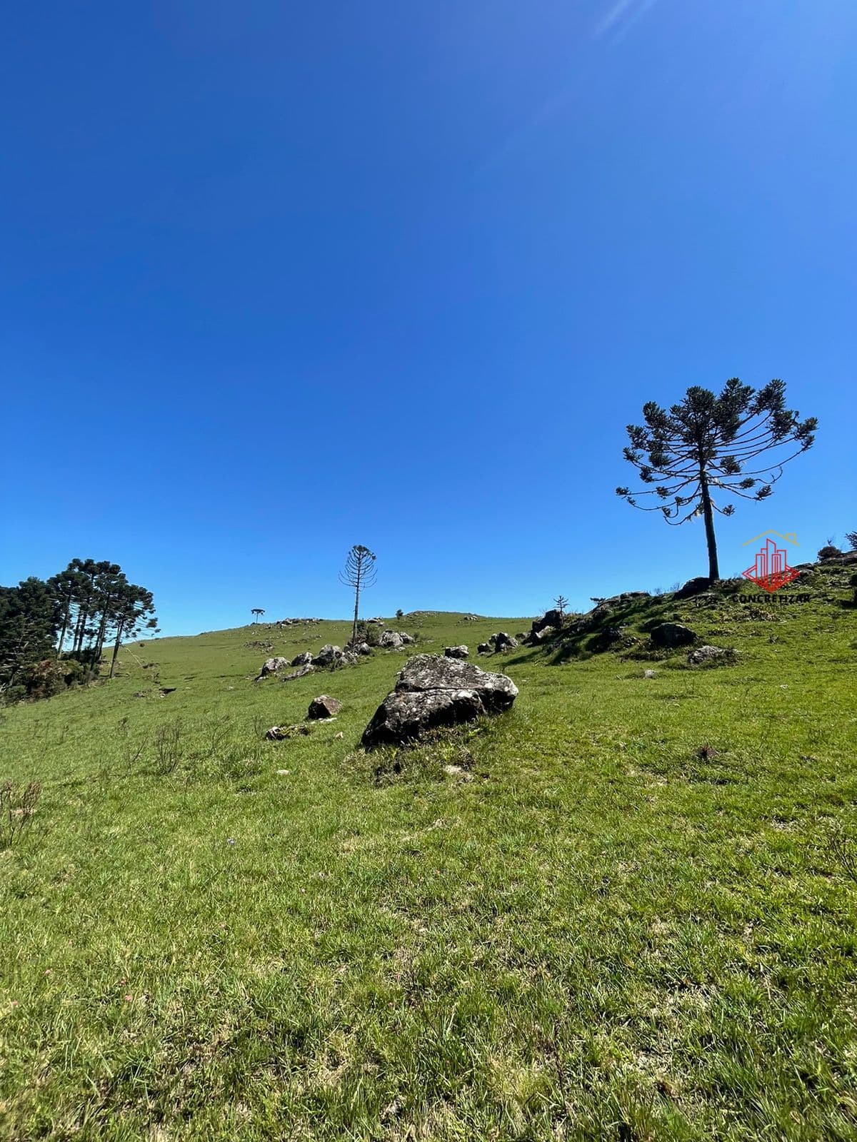 Na Serra do Rio do Rastro