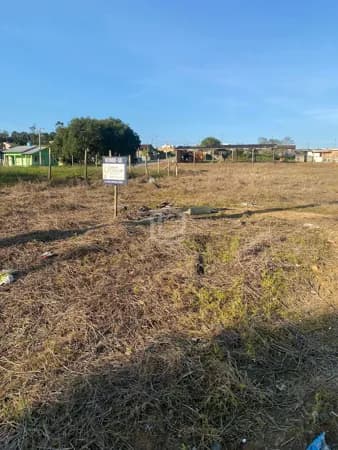 Lote/Terreno em Criciúma - Buenos Aires