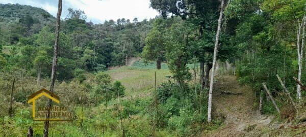Terreno grande com fácil.acesso / raridade na região