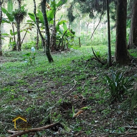 Linda área verde