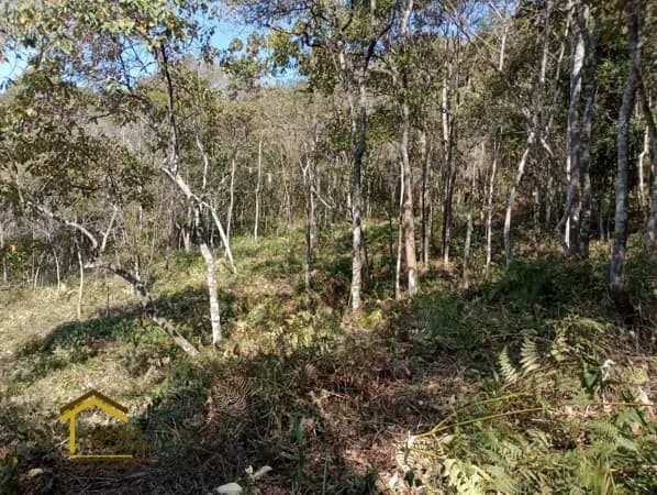 Terreno em Campo do Coelho, Nova Friburgo/RJ