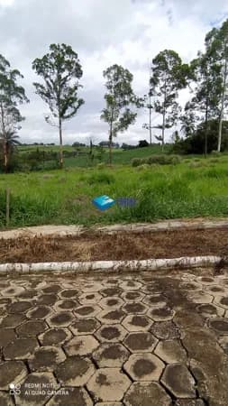 Lote/Terreno em Passos - Aclimação