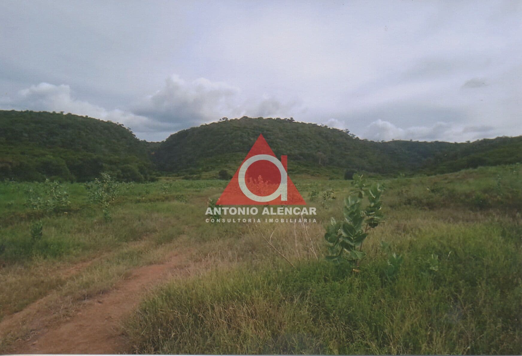 Fazenda/Sítios/Chácaras em Brejolândia - Centro