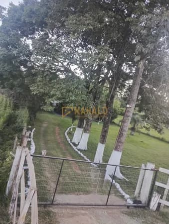 Chácara à venda - Independência/RS, Rural
