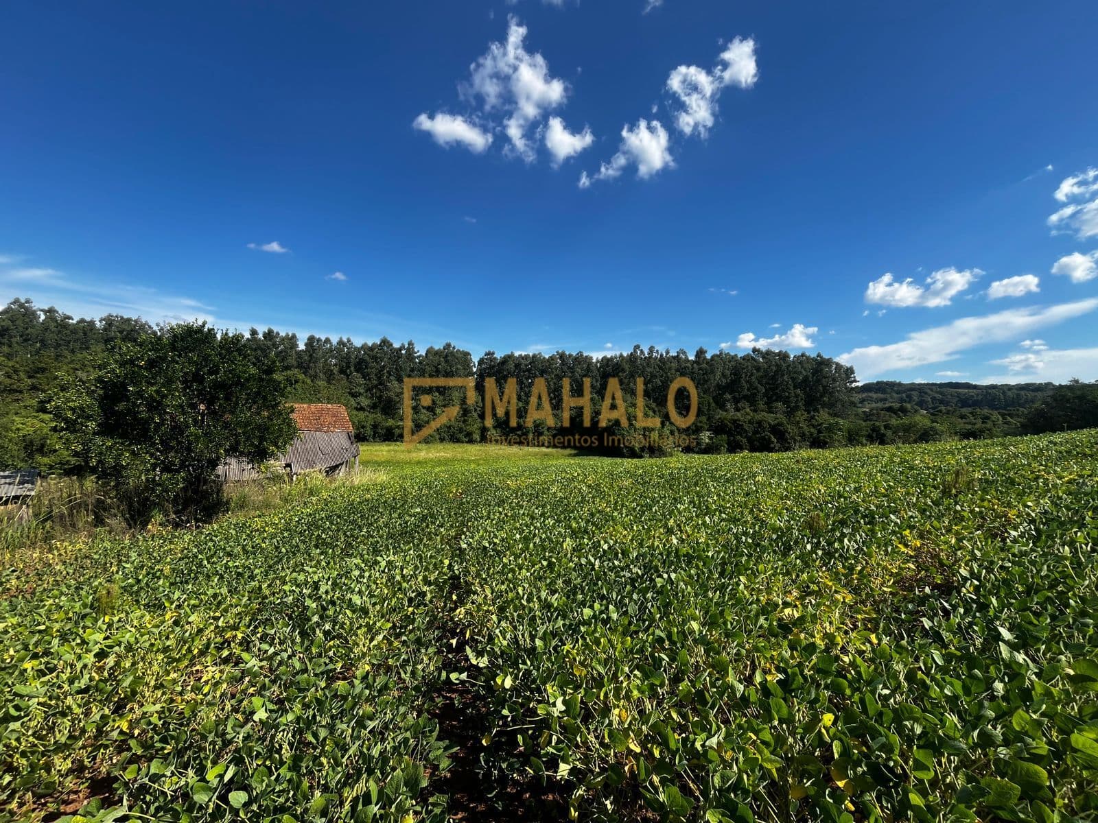 Área Rural em Lajeado Biriva, Três de Maio/RS