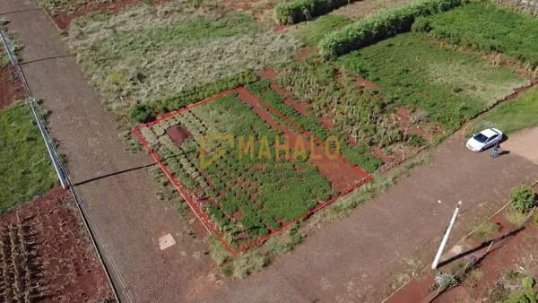 Lote/Terreno em Três de Maio - Primavera