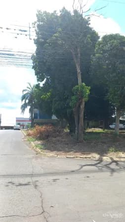 Vende-se Dois Terrenos na Na Grande Efapi