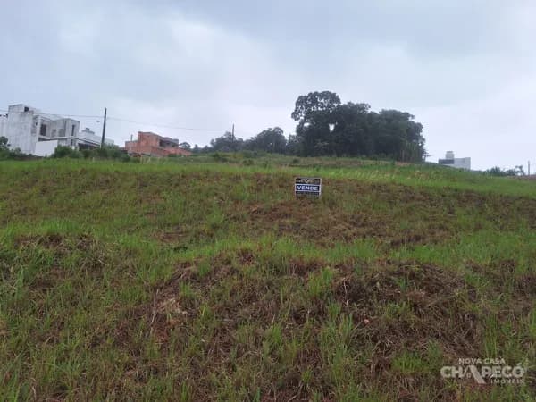 Lote/Terreno em Chapecó - Pinheirinho