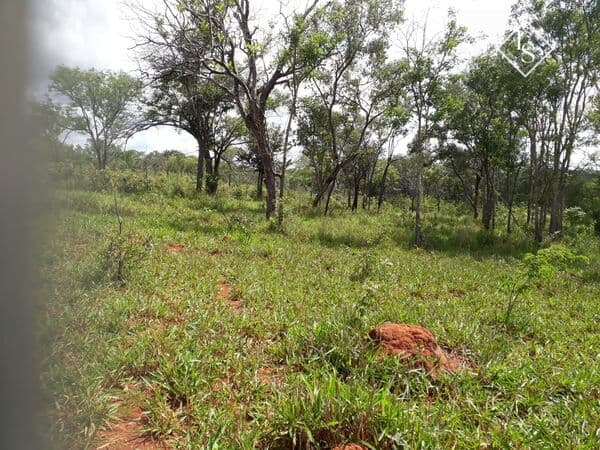 Fazenda de 78 hectares, localizada em Curvelo-MG, toda plana