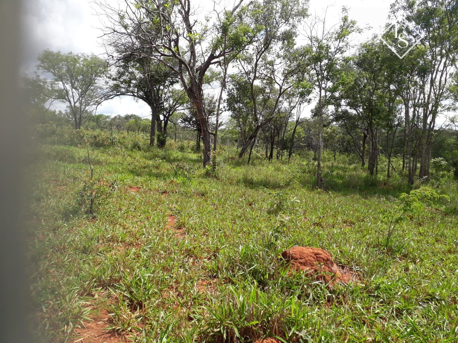Fazenda de 78 hectares, localizada em Curvelo-MG, toda plana