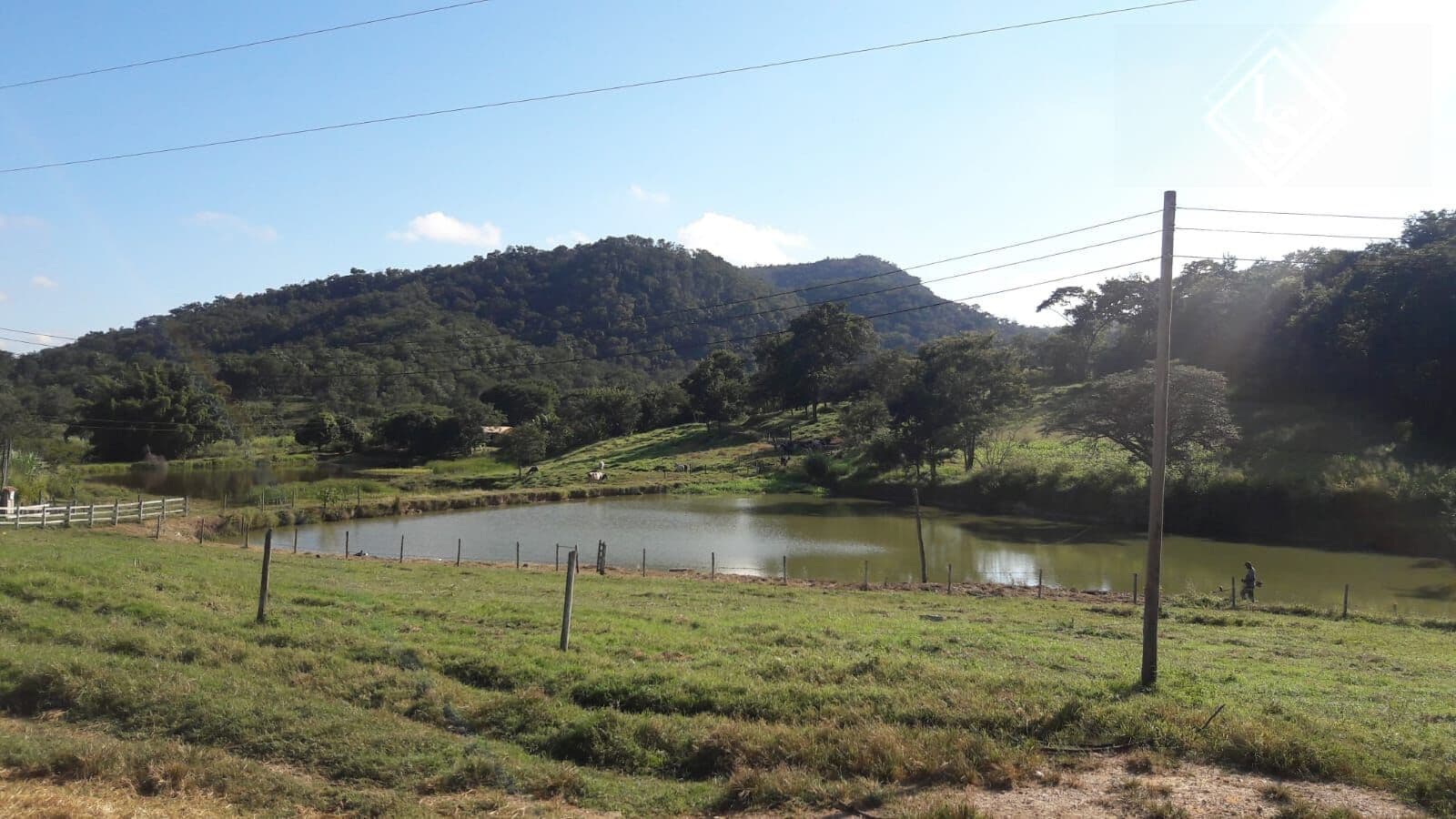 Fazenda em esmeraldas 79 hectares , toda formada.