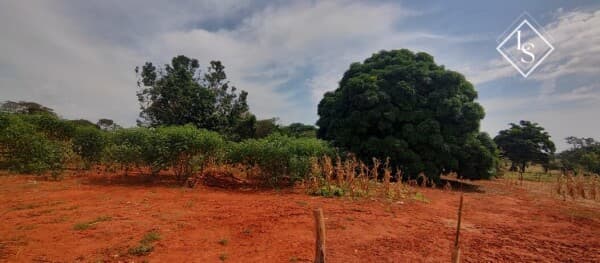 Fazenda no Morro das Garças região de Curvelo/MG com 118 ha - terra cultura, pasto formado, sede, curral, gado, córregos