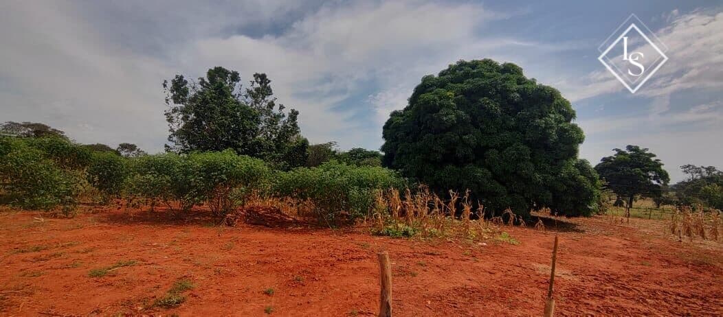 Fazenda no Morro das Garças região de Curvelo/MG com 118 ha - terra cultura, pasto formado, sede, curral, gado, córregos