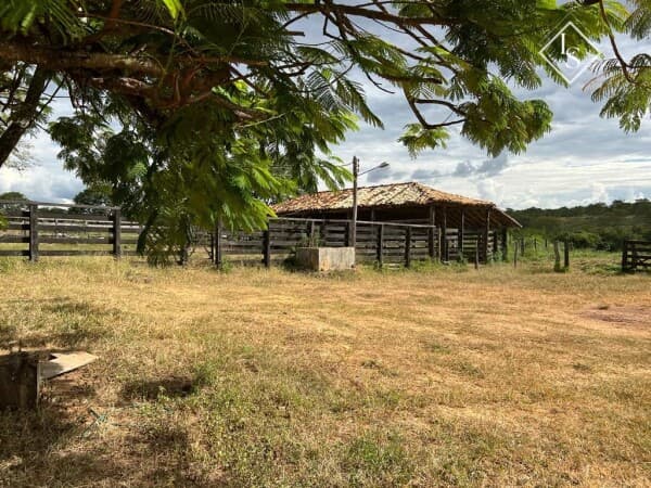 FAZENDA DE 200 hectares em curvelo, plana, Terra de Cultura e córrego perene