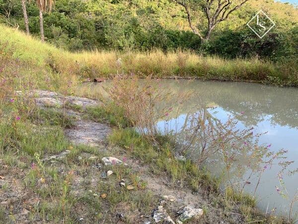 FAZENDA DE 35 hectare m Jaboticatubas, com lago de peixe e próximo a lindas cachoeiras