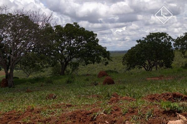 Condomínio Fazendinhas de 20.000m2 área rural em Jequitibá - MG totalmente plana