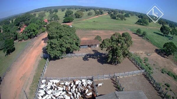 Fazenda de 4,180 hectares ,localizada em Buritizeiro-MG, com represas e 9km de beira de Rio São Francisco