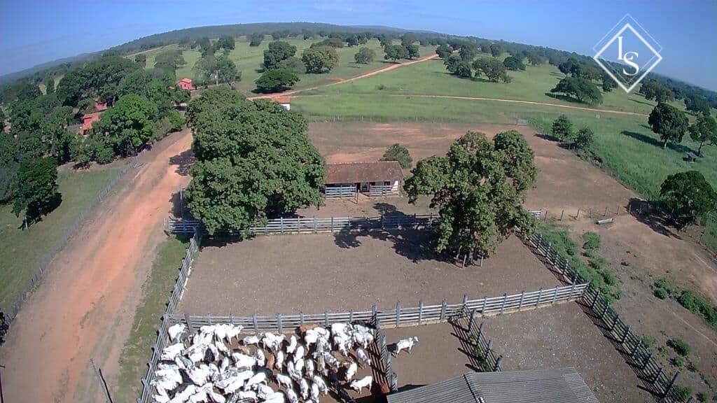 Fazenda de 4,180 hectares ,localizada em Buritizeiro-MG, com represas e 9km de beira de Rio São Francisco