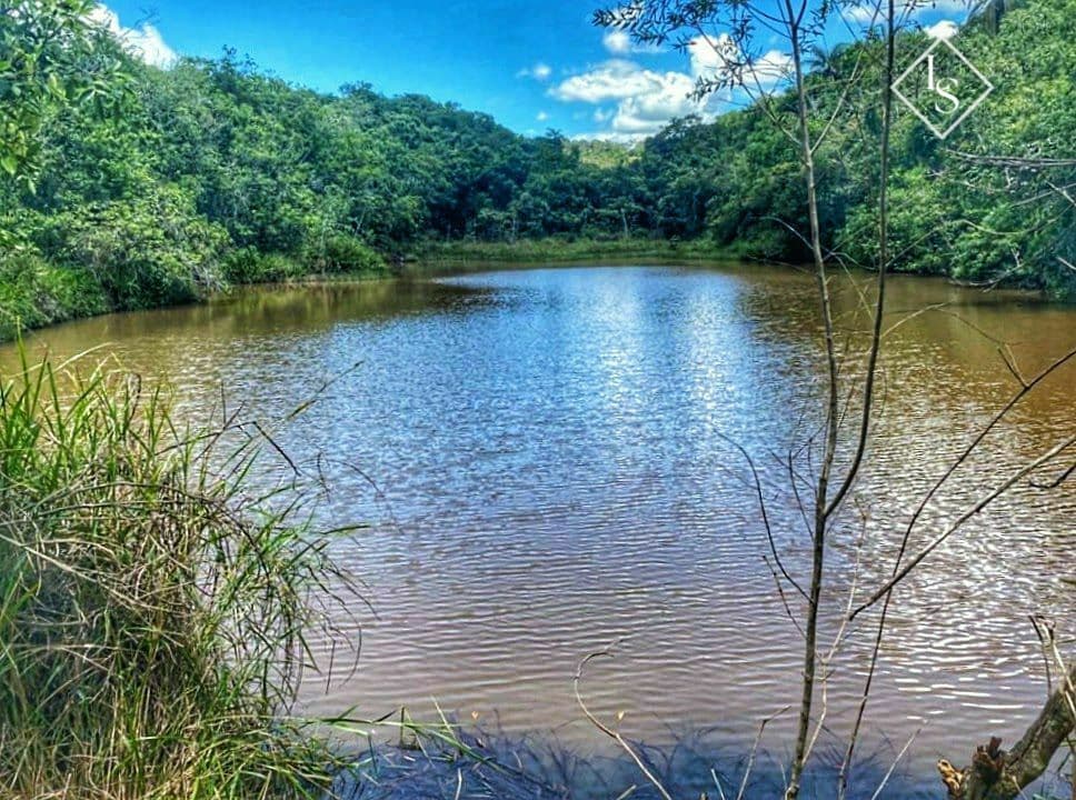 Fazenda Jaboticatubas/MG 50 hectares após Lagoa Santa - Casa excelente - Pasto formado - criações - pomar