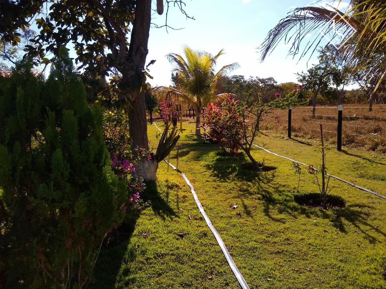 Fazenda Formada 8 hec com corrego e casa em Curvelo