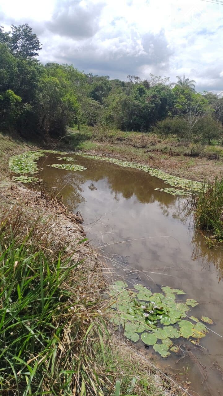 Fazendinhas de 2 hectares em Esmeraldas - MG